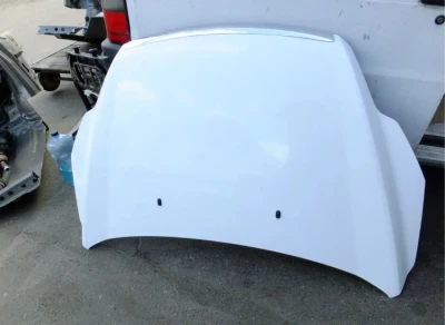 Ford Focus Kaput 2009-2011